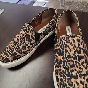 Leopard print size 8.5 Steve Madden  slip ons